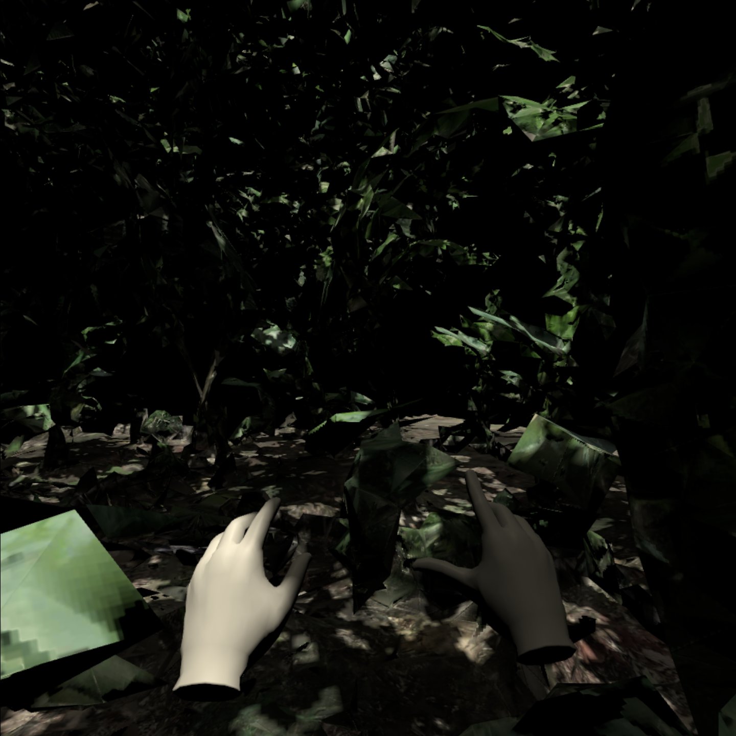 Puerto Narino VR