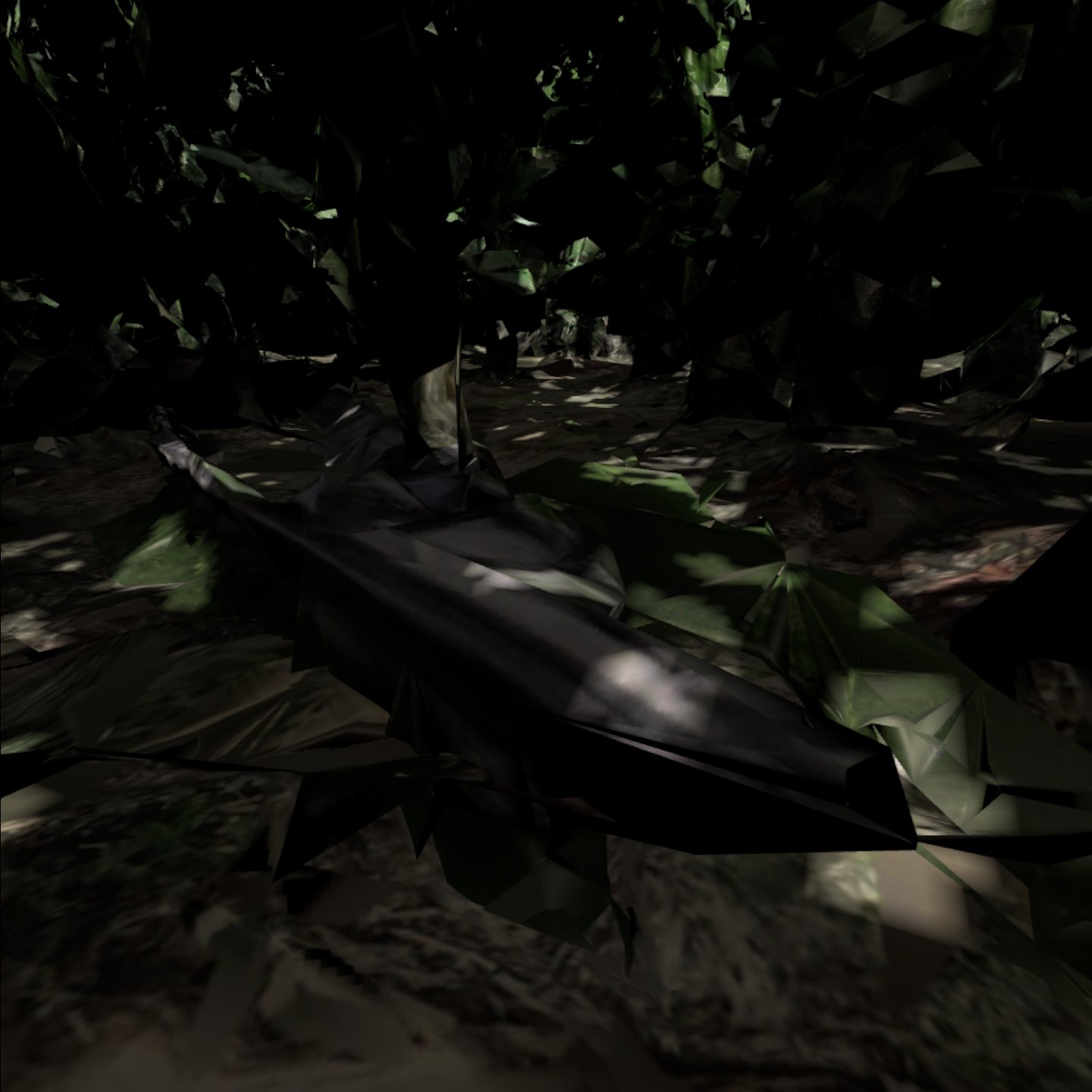 Puerto Narino VR