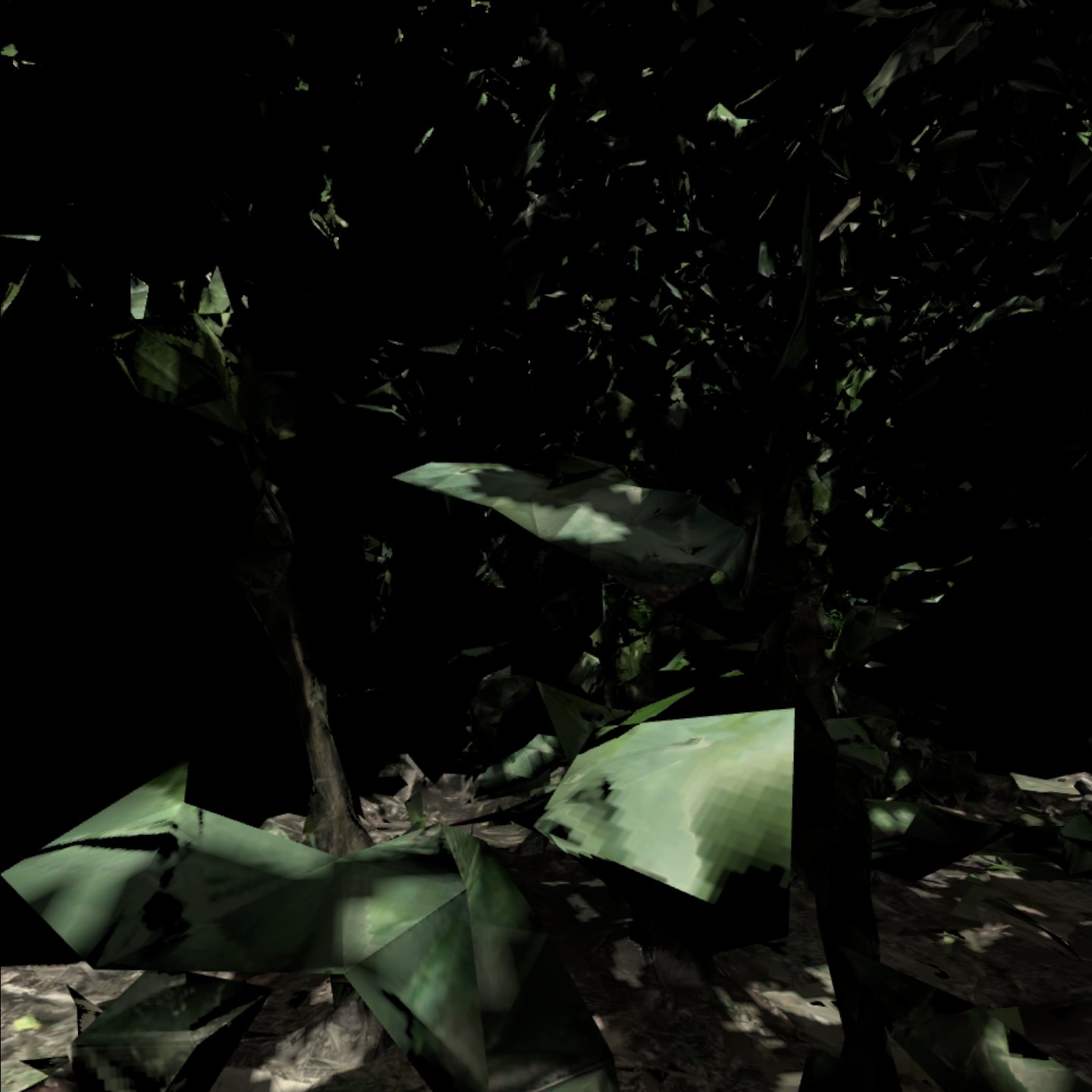 Puerto Narino VR